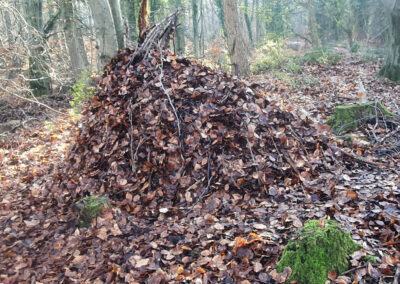 Swansea Adventures - Bush Craft in South Wales